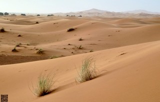 Merzouga    |   36  /  47    |   f/8.0   35mm   ISO:400